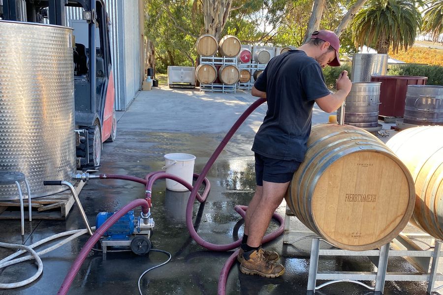 winemaker2